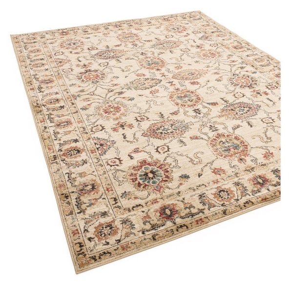 Beżowy dywan 120x160 cm Raja – Asiatic Carpets