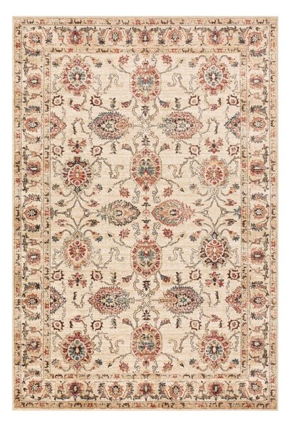 Beżowy dywan 120x160 cm Raja – Asiatic Carpets