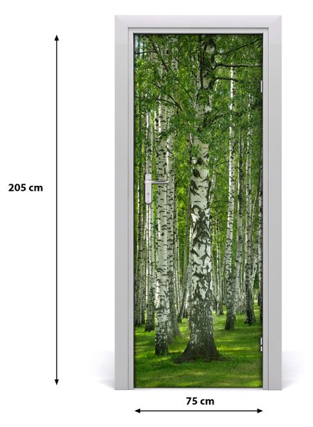 Naklejka fototapeta na drzwi Las brzozowy