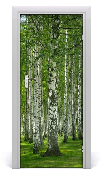 Naklejka fototapeta na drzwi Las brzozowy