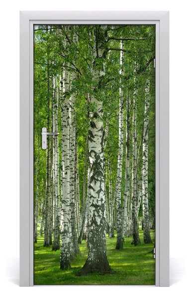 Naklejka fototapeta na drzwi Las brzozowy