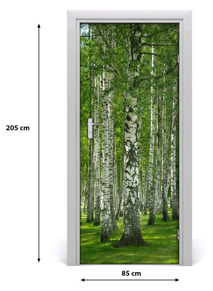 Naklejka fototapeta na drzwi Las brzozowy