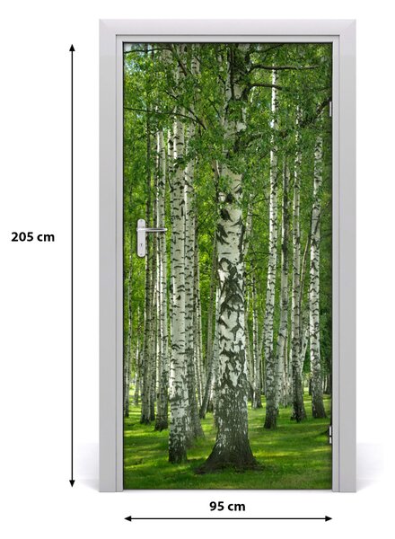 Naklejka fototapeta na drzwi Las brzozowy