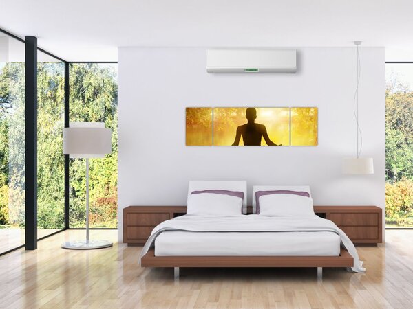 Obraz - Medytacja (170x50 cm)
