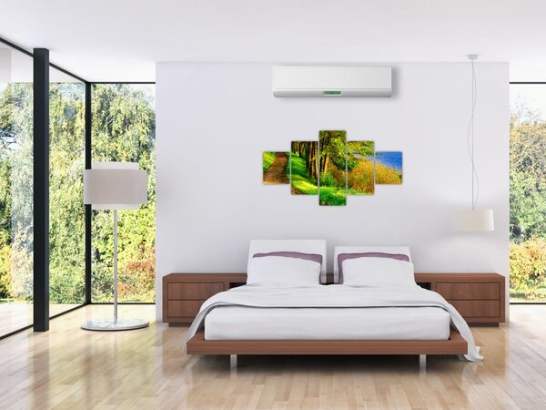 Obraz szlaku wzdłuż wody (125x70 cm)