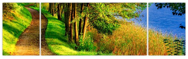 Obraz szlaku wzdłuż wody (170x50 cm)