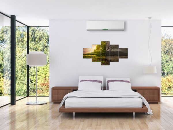 Obraz - Cykl życia (125x70 cm)