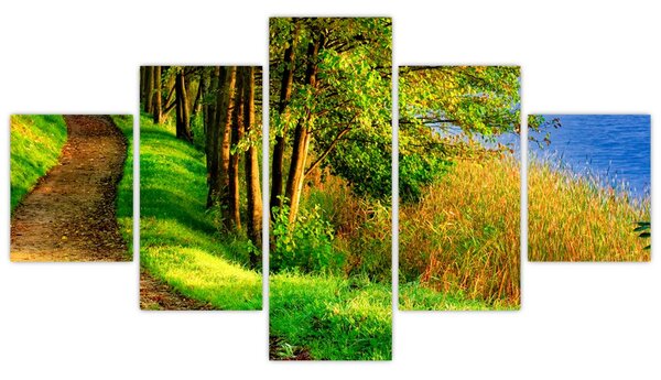 Obraz szlaku wzdłuż wody (125x70 cm)