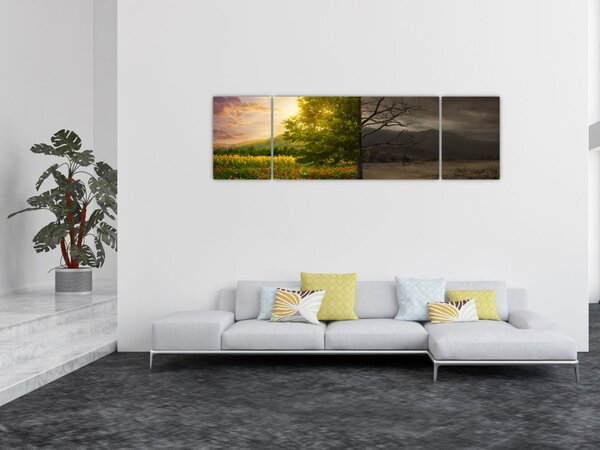 Obraz - Cykl życia (170x50 cm)