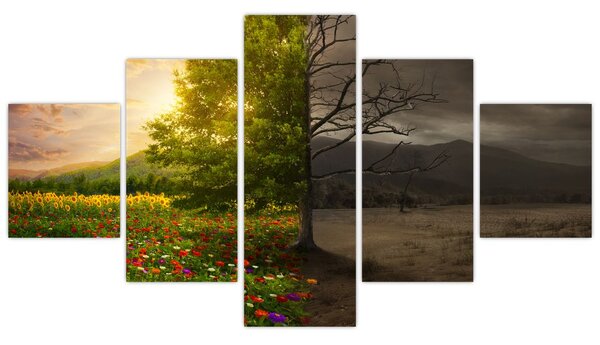 Obraz - Cykl życia (125x70 cm)