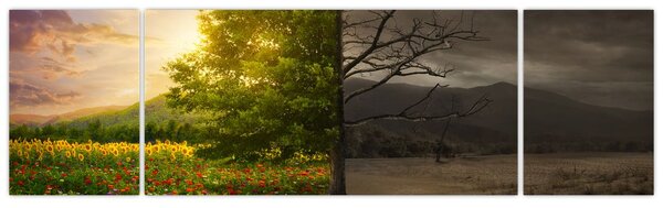 Obraz - Cykl życia (170x50 cm)
