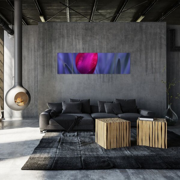 Obraz pąka tulipana (170x50 cm)
