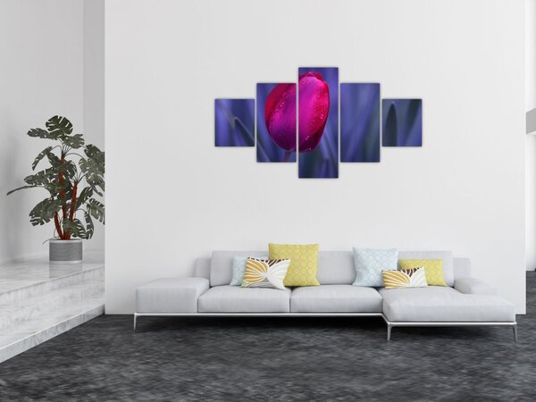 Obraz pąka tulipana (125x70 cm)