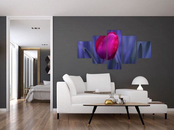 Obraz pąka tulipana (125x70 cm)