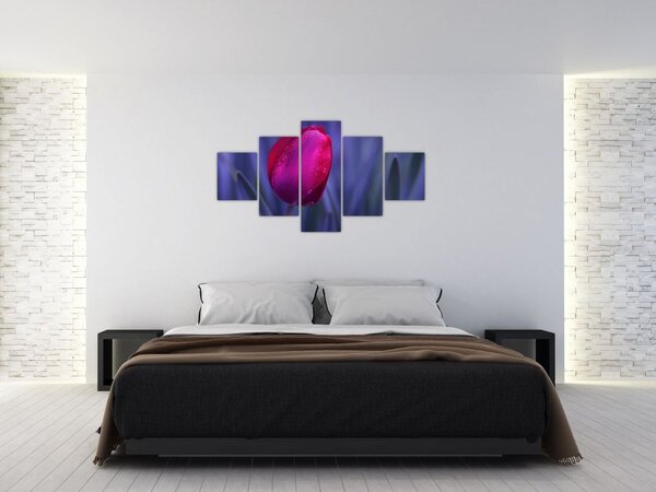Obraz pąka tulipana (125x70 cm)