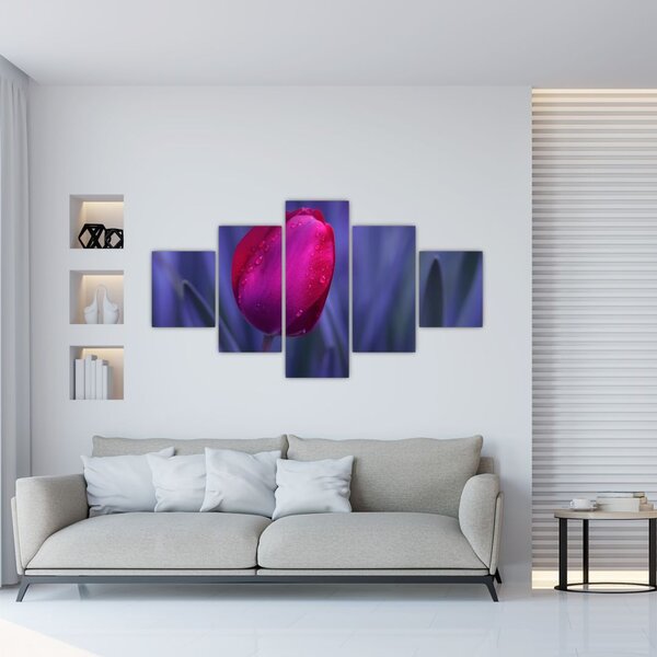 Obraz pąka tulipana (125x70 cm)