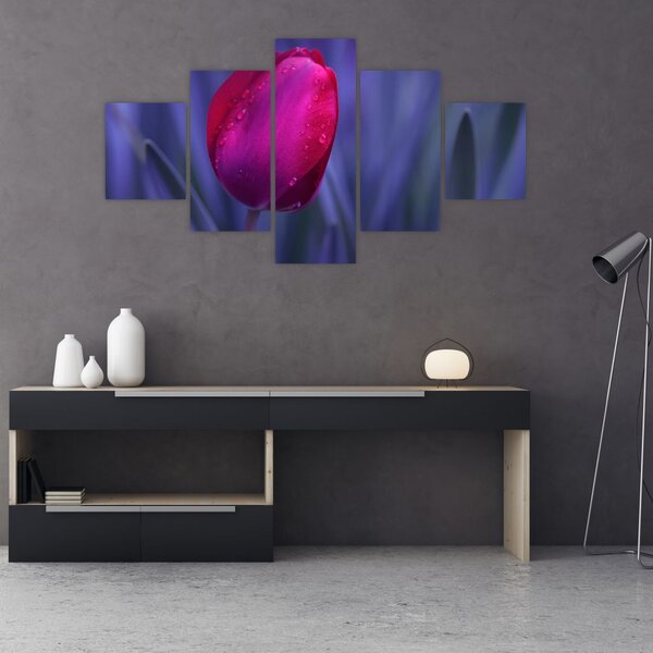 Obraz pąka tulipana (125x70 cm)