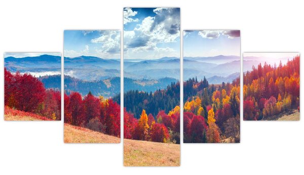 Obraz kolorowego jesiennego krajobrazu (125x70 cm)