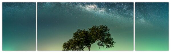 Obraz nocnego nieba (170x50 cm)