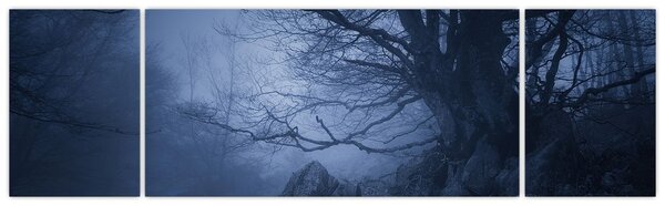 Obraz ciemnego lasu (170x50 cm)