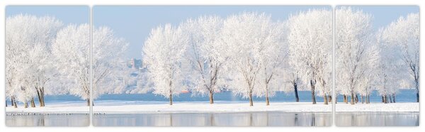Obraz zimowego krajobrazu (170x50 cm)