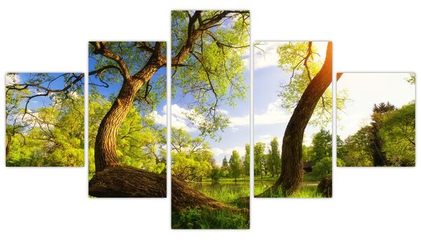 Obraz wiosennej łąki (125x70 cm)
