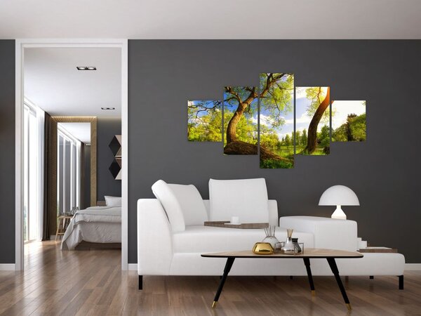 Obraz wiosennej łąki (125x70 cm)