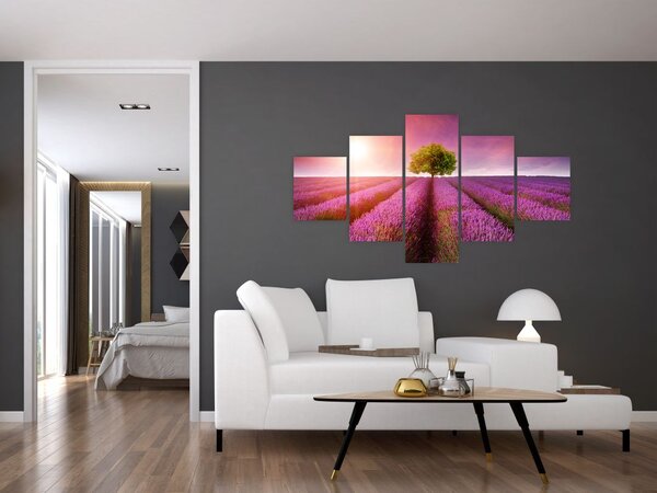 Obraz pola z lawendą (125x70 cm)