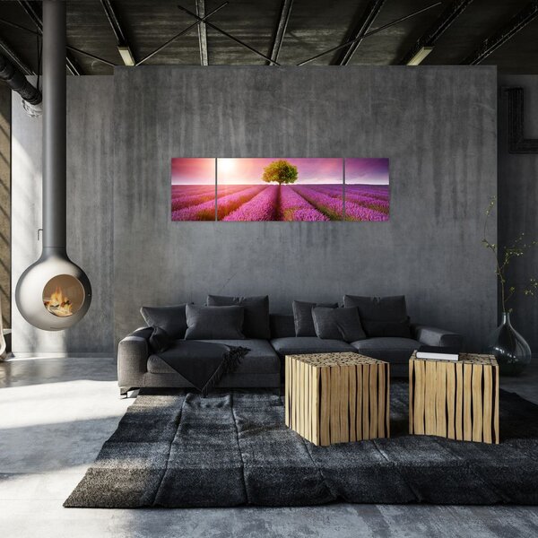 Obraz pola z lawendą (170x50 cm)