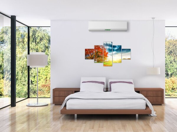 Obraz skąpanego w słońcu krajobrazu (125x70 cm)