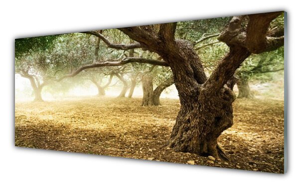 Obraz na Szkle Drzewo Trawa Natura
