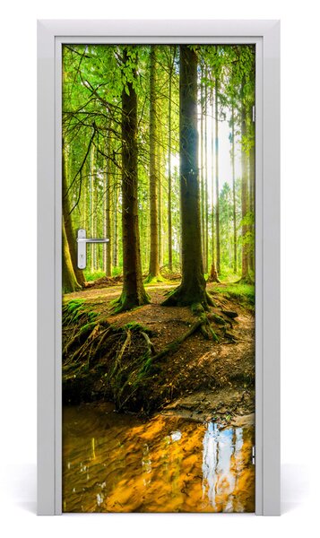 Naklejka fototapeta na drzwi Strumień w lasie