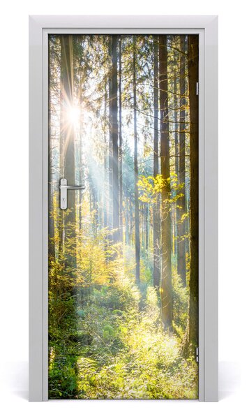Naklejka fototapeta na drzwi Słońce w lesie