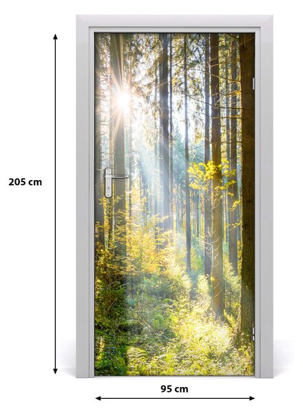 Naklejka fototapeta na drzwi Słońce w lesie
