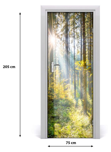 Naklejka fototapeta na drzwi Słońce w lesie