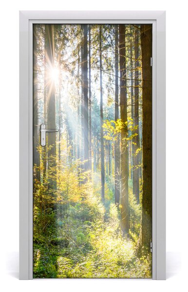 Naklejka fototapeta na drzwi Słońce w lesie