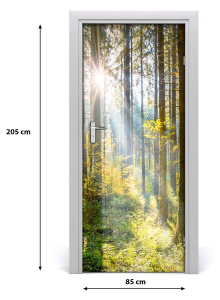 Naklejka fototapeta na drzwi Słońce w lesie