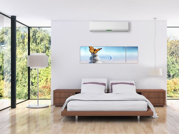 Obraz - Ogród zen (170x50 cm)