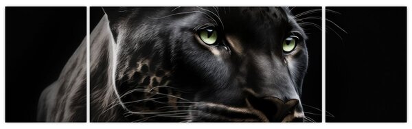 Obraz - Czarna Pantera (170x50 cm)