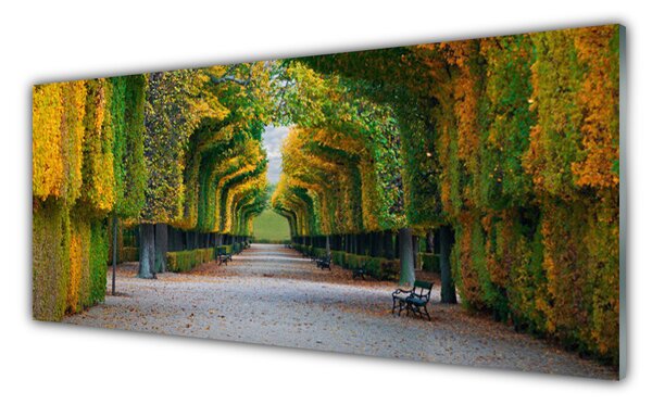 Obraz na Szkle Park Jesień Ogród Natura