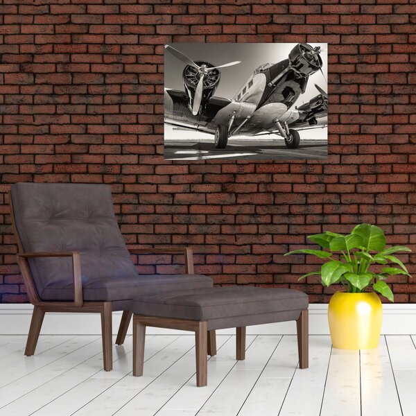 Obraz - Historyczne samoloty (70x50 cm)
