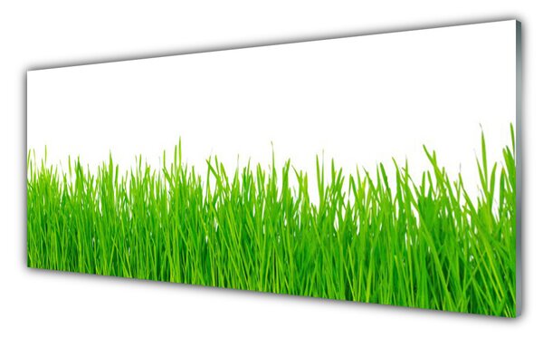 Obraz Szklany Trawa Roślina Natura