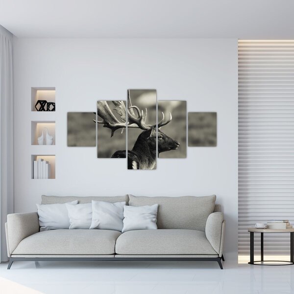 Obraz - Jeleń (125x70 cm)