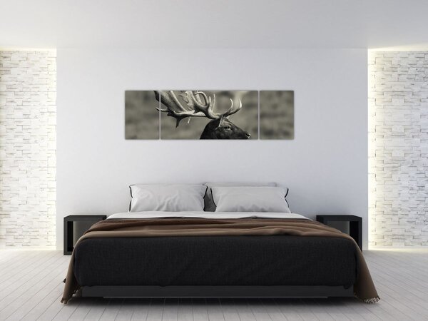 Obraz - Jeleń (170x50 cm)
