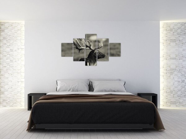 Obraz - Jeleń (125x70 cm)