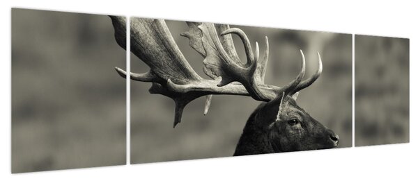 Obraz - Jeleń (170x50 cm)