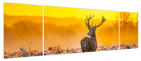 Obraz - Jeleń o wschodzie słońca (170x50 cm)