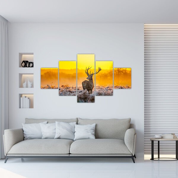 Obraz - Jeleń o wschodzie słońca (125x70 cm)