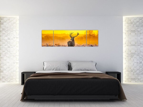 Obraz - Jeleń o wschodzie słońca (170x50 cm)