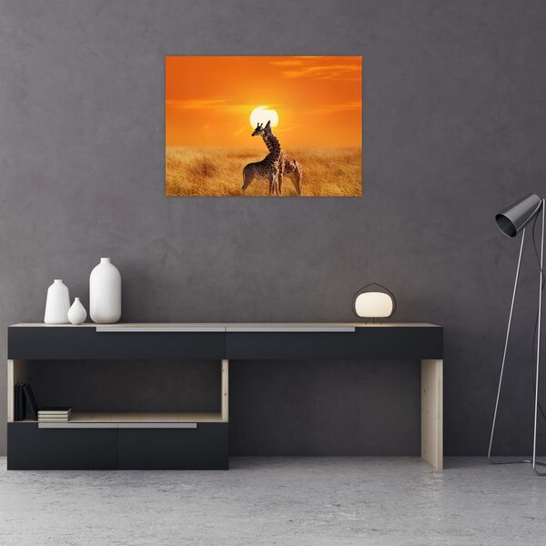 Obraz - Żyrafy w Parku Narodowym Serengeti (70x50 cm)